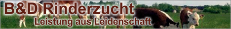 B&D Rinderzucht B&D Rinderzucht
